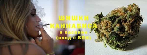 ешки Вяземский