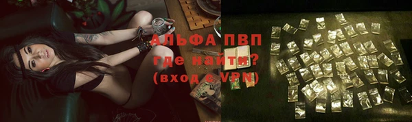 ешки Вяземский