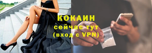 ешки Вяземский