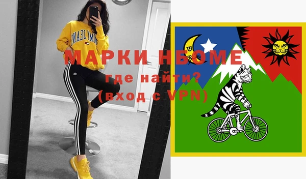 ешки Вяземский